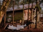 In the woods In the woods